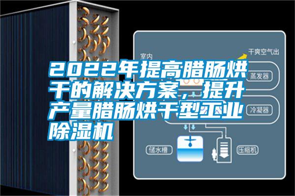 2022年提高臘腸烘干的解決方案，提升產(chǎn)量臘腸烘干型工業(yè)除濕機(jī)