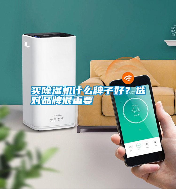 買除濕機(jī)什么牌子好？選對品牌很重要