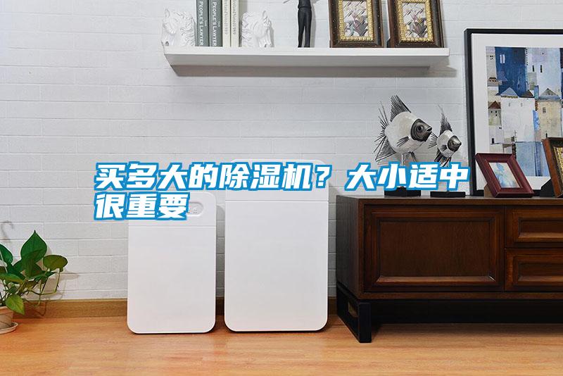 買(mǎi)多大的除濕機(jī)？大小適中很重要