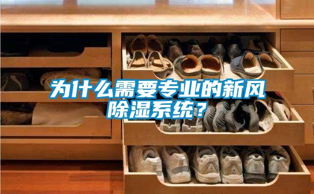 為什么需要專業(yè)的新風除濕系統(tǒng)？