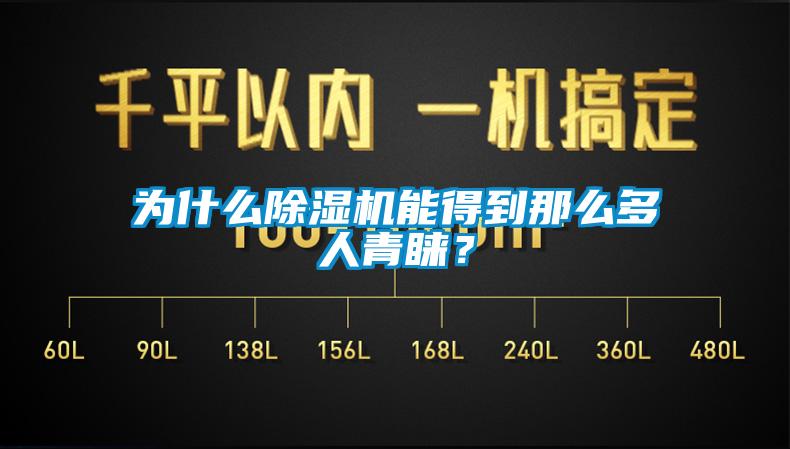 為什么除濕機能得到那么多人青睞？