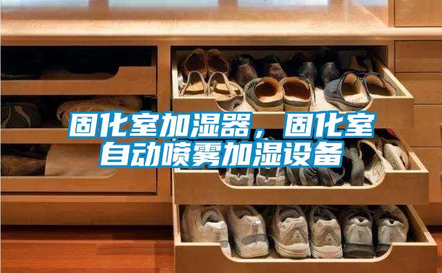 固化室加濕器，固化室自動噴霧加濕設備