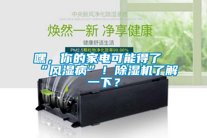 嘿，你的家電可能得了“風(fēng)濕病”！除濕機(jī)了解一下？