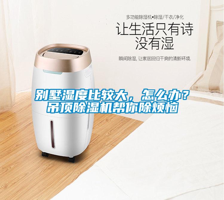 別墅濕度比較大,怎么辦?吊頂除濕機(jī)幫你除煩惱