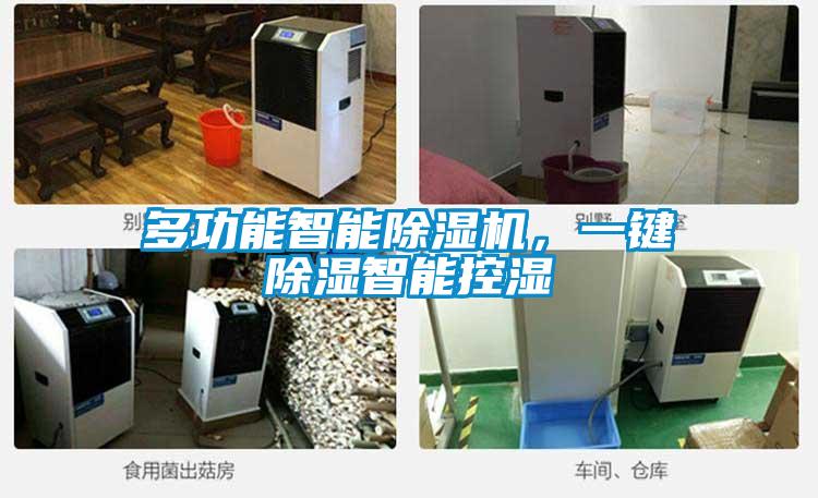 多功能智能除濕機(jī)，一鍵除濕智能控濕