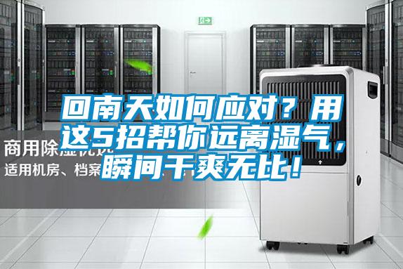 回南天如何應(yīng)對(duì)？用這5招幫你遠(yuǎn)離濕氣，瞬間干爽無比！