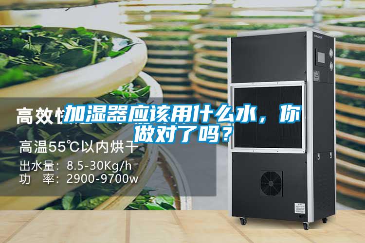 加濕器應(yīng)該用什么水，你做對了嗎？
