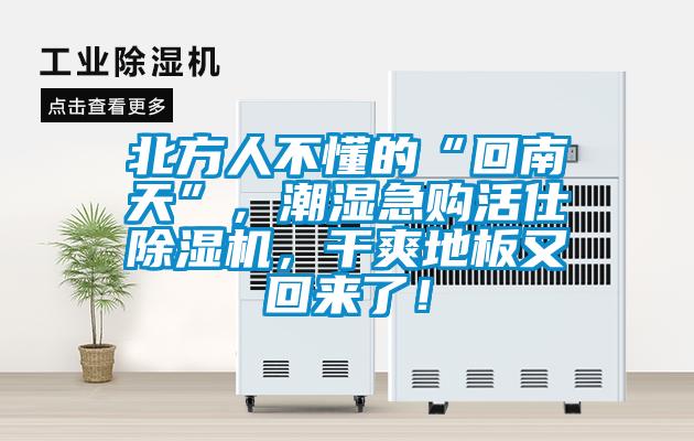 北方人不懂的“回南天”，潮濕急購(gòu)活仕除濕機(jī)，干爽地板又回來(lái)了！