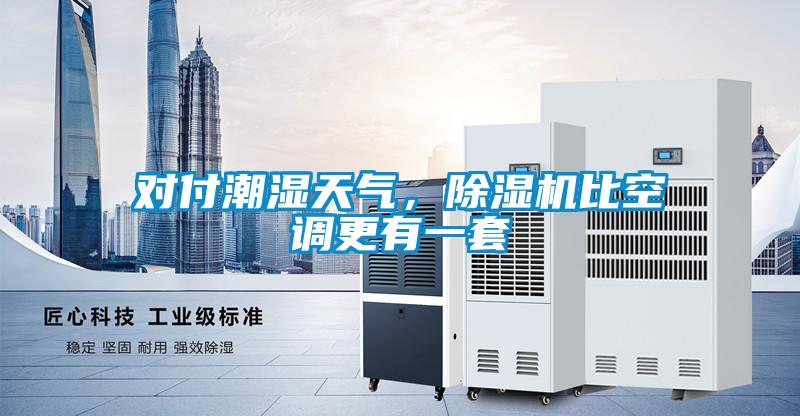 對付潮濕天氣，除濕機(jī)比空調(diào)更有一套