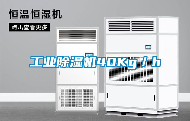 工業(yè)除濕機(jī)40Kg／h