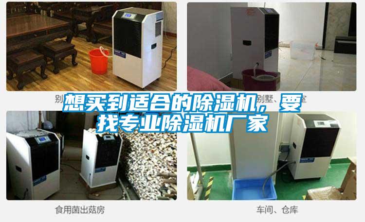 想買到適合的除濕機，要找專業(yè)除濕機廠家