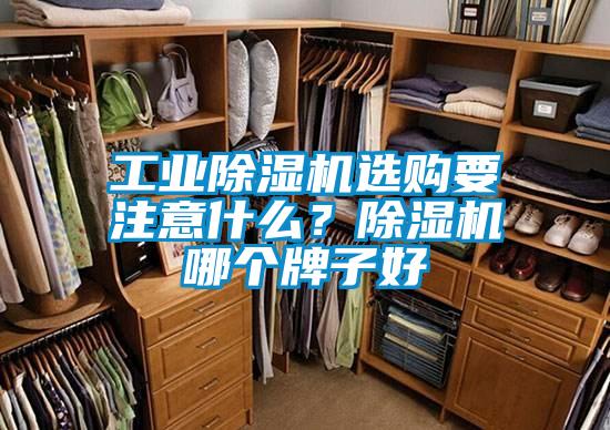 工業(yè)除濕機(jī)選購要注意什么？除濕機(jī)哪個牌子好