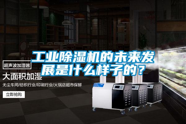 工業(yè)除濕機的未來發(fā)展是什么樣子的？