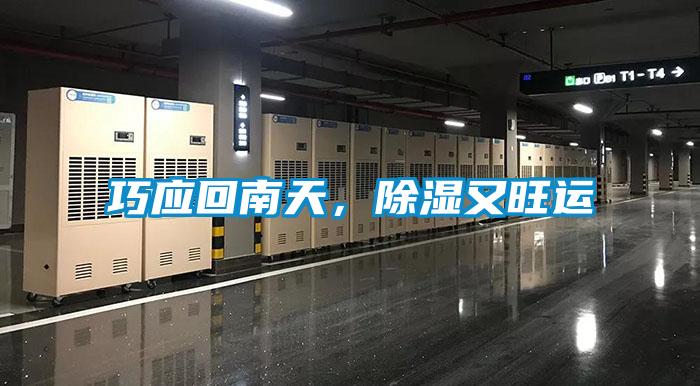 巧應(yīng)回南天，除濕又旺運