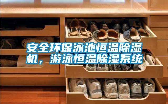 安全環(huán)保泳池恒溫除濕機(jī)，游泳恒溫除濕系統(tǒng)