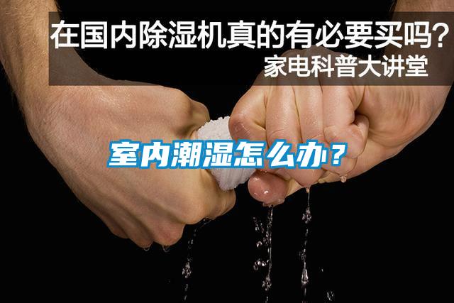 室內(nèi)潮濕怎么辦？
