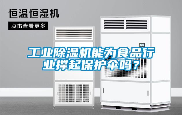 工業(yè)除濕機(jī)能為食品行業(yè)撐起保護(hù)傘嗎？