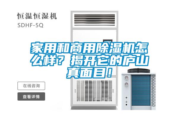家用和商用除濕機怎么樣？揭開它的廬山真面目！