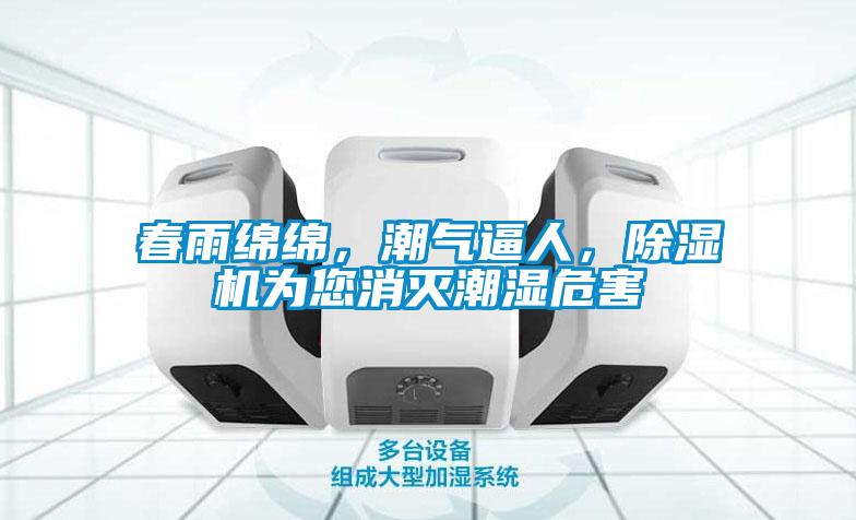 春雨綿綿，潮氣逼人，除濕機為您消滅潮濕危害