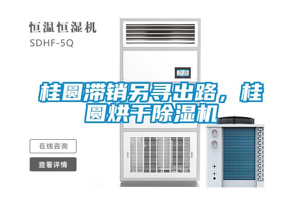 桂圓滯銷(xiāo)另尋出路，桂圓烘干除濕機(jī)