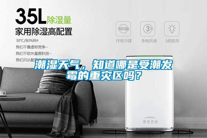 潮濕天氣，知道哪是受潮發(fā)霉的重災(zāi)區(qū)嗎？
