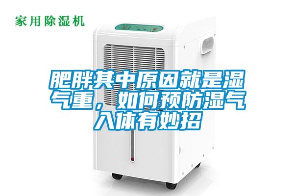 肥胖其中原因就是濕氣重，如何預防濕氣入體有妙招