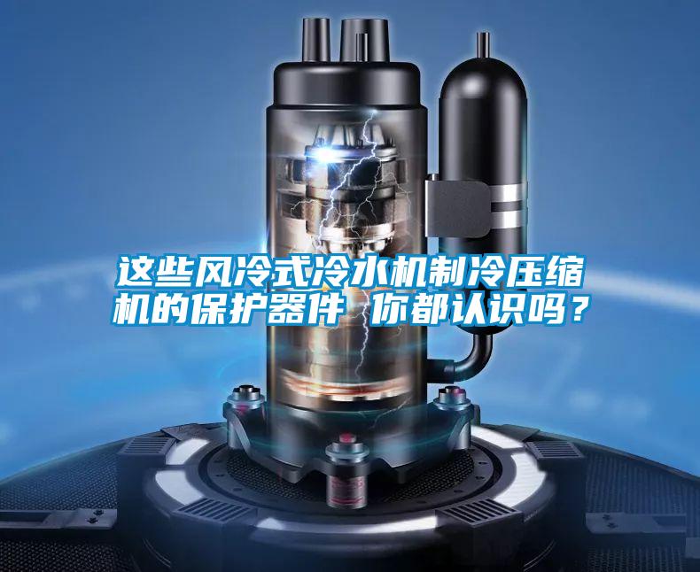 這些風(fēng)冷式冷水機(jī)制冷壓縮機(jī)的保護(hù)器件 你都認(rèn)識(shí)嗎？