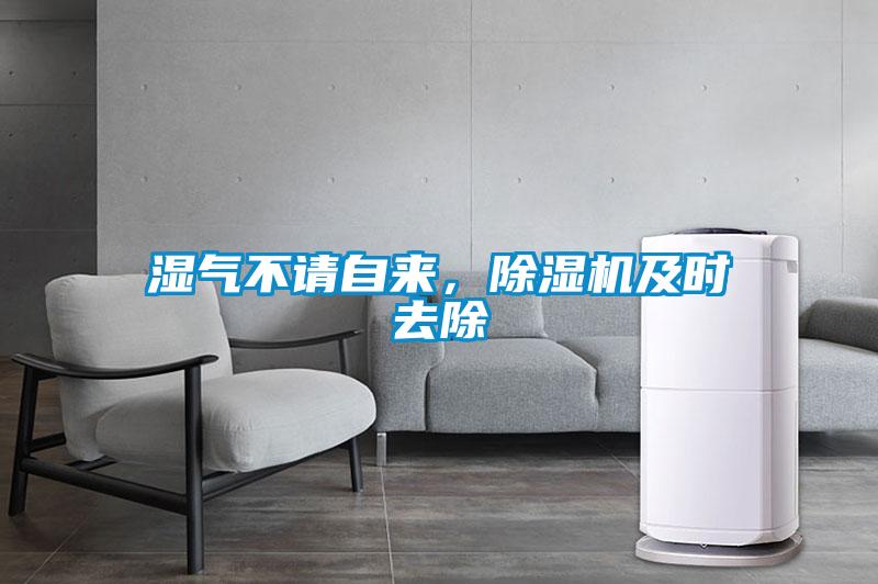 濕氣不請自來，除濕機(jī)及時去除