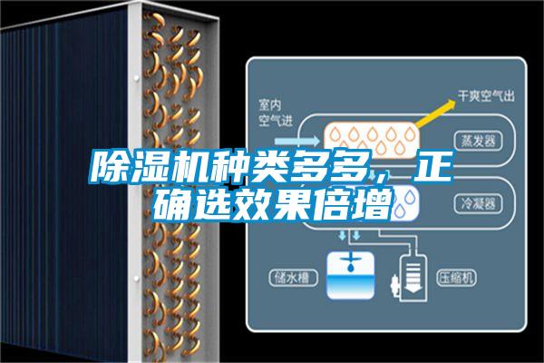 除濕機(jī)種類多多，正確選效果倍增