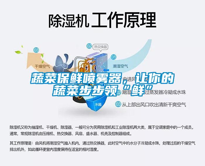 蔬菜保鮮噴霧器，讓你的蔬菜步步領(lǐng)“鮮”