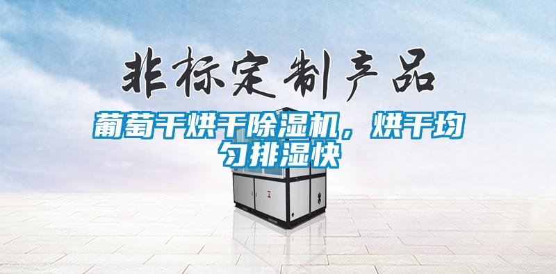 葡萄干烘干除濕機，烘干均勻排濕快