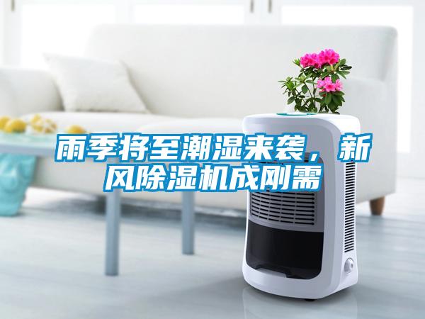 雨季將至潮濕來襲，新風(fēng)除濕機(jī)成剛需