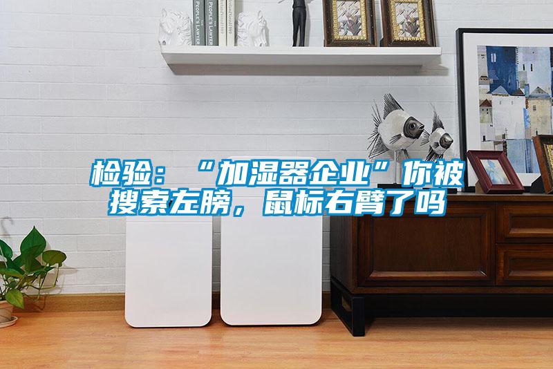 檢驗(yàn)：“加濕器企業(yè)”你被搜索左膀，鼠標(biāo)右臂了嗎