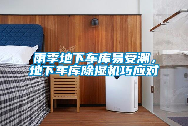 雨季地下車庫易受潮，地下車庫除濕機(jī)巧應(yīng)對(duì)