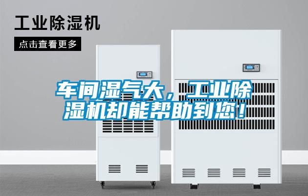 車(chē)間濕氣大，工業(yè)除濕機(jī)卻能幫助到您！
