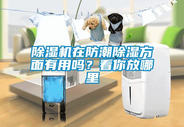 除濕機在防潮除濕方面有用嗎？看你放哪里