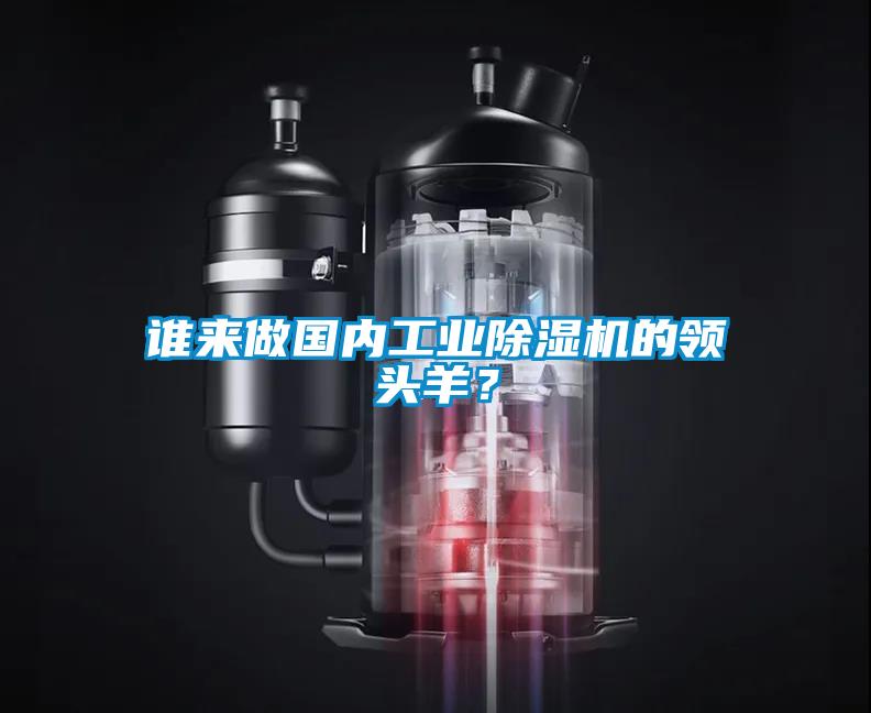誰來做國內(nèi)工業(yè)除濕機的領頭羊？