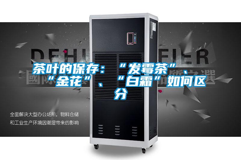 茶葉的保存：“發(fā)霉茶”、“金花”、“白霜”如何區(qū)分