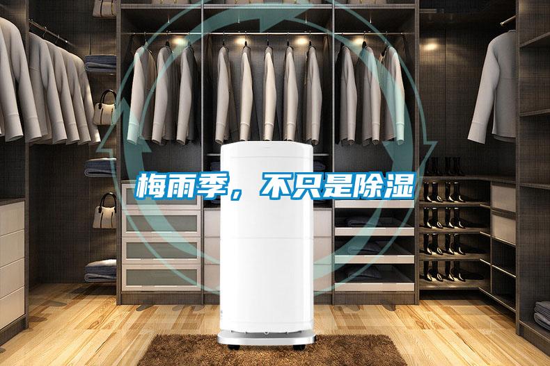 梅雨季，不只是除濕