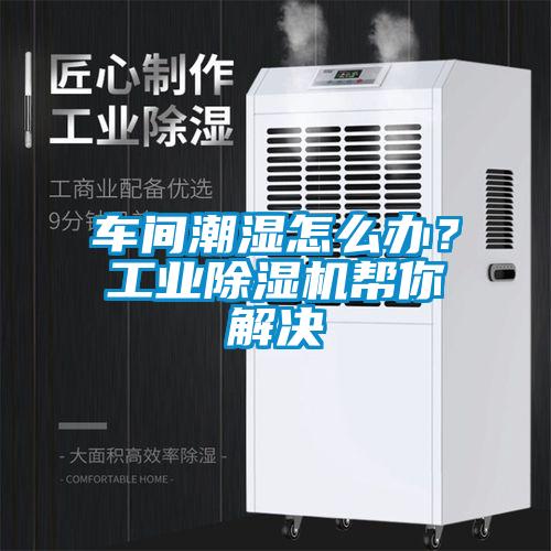 車間潮濕怎么辦？工業(yè)除濕機幫你解決
