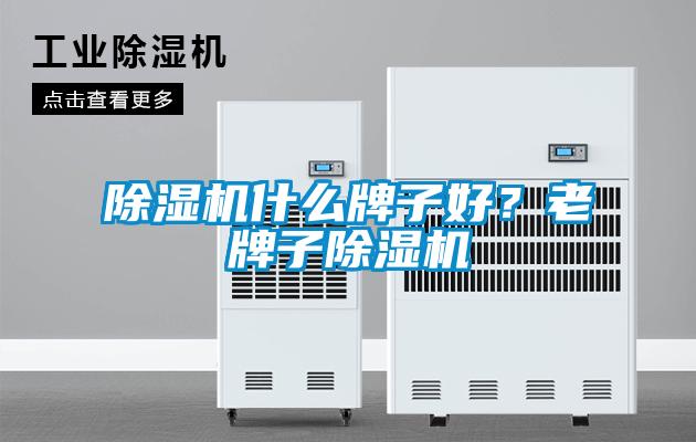 除濕機什么牌子好？老牌子除濕機