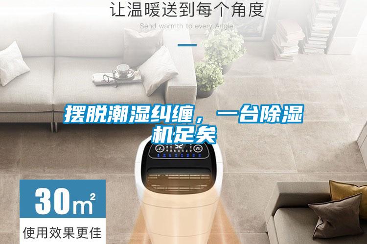 擺脫潮濕糾纏，一臺(tái)除濕機(jī)足矣