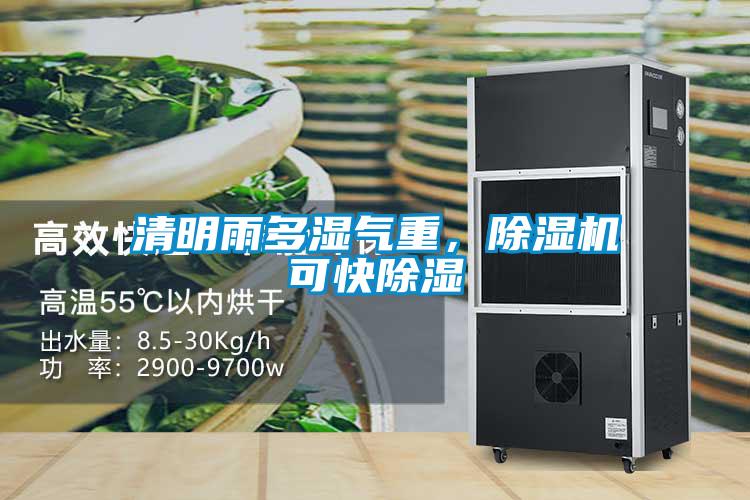 清明雨多濕氣重，除濕機(jī)可快除濕