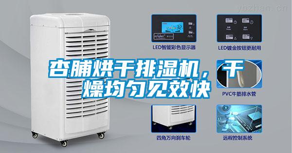 杏脯烘干排濕機，干燥均勻見效快