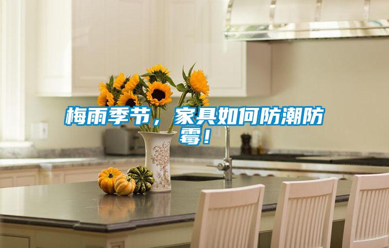 梅雨季節(jié)，家具如何防潮防霉！