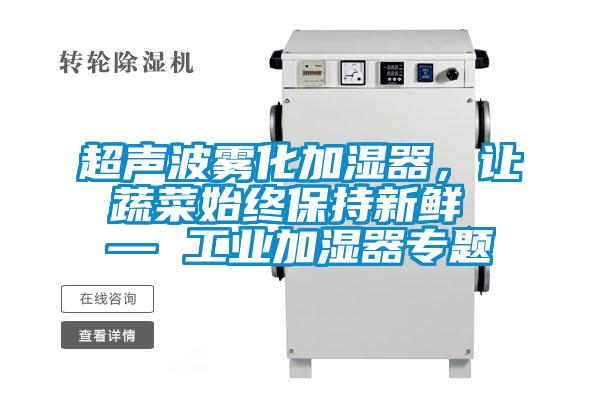 超聲波霧化加濕器，讓蔬菜始終保持新鮮 — 工業(yè)加濕器專題