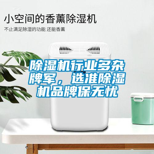 除濕機(jī)行業(yè)多雜牌軍，選準(zhǔn)除濕機(jī)品牌保無憂