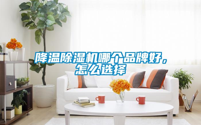 降溫除濕機哪個品牌好，怎么選擇