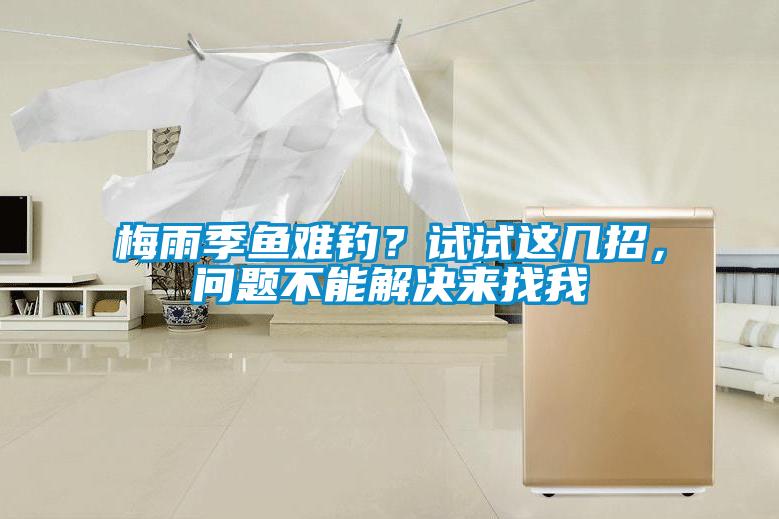 梅雨季魚(yú)難釣？試試這幾招，問(wèn)題不能解決來(lái)找我