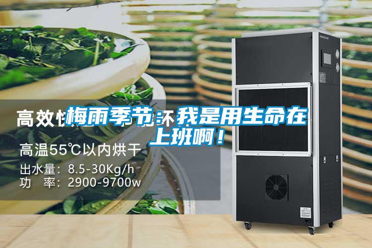 梅雨季節(jié)：我是用生命在上班啊！